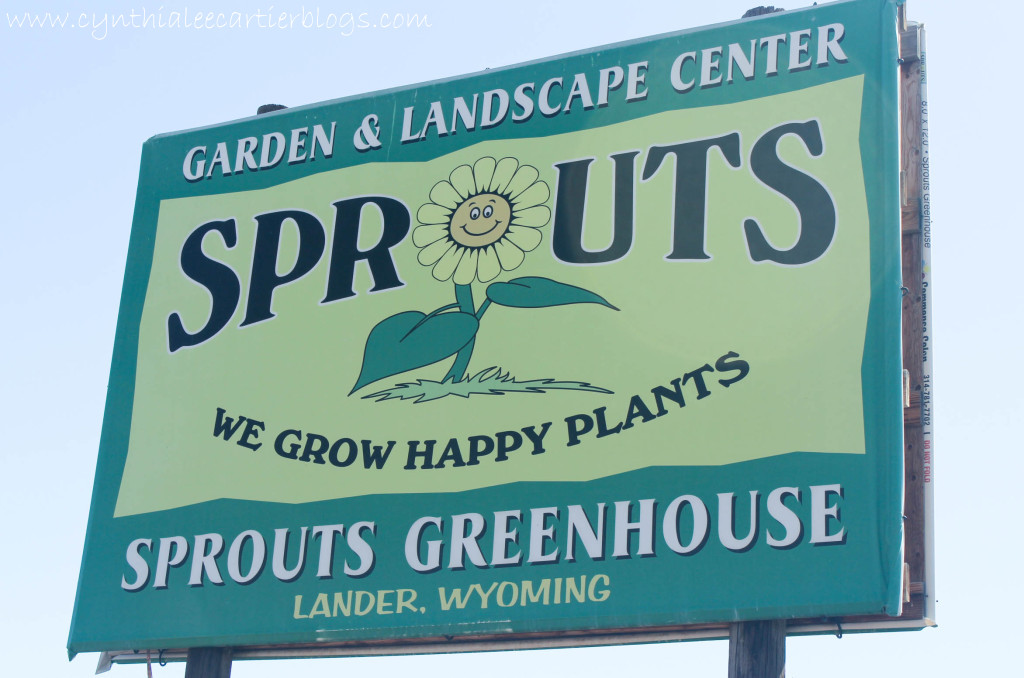 Lander Wyoming, Sprouts Garden Center