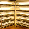 GaGardening Ideas -- racks for growing transplants from seed