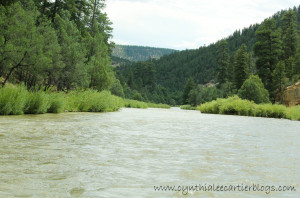 View of the Rio Chama River in New Mexico