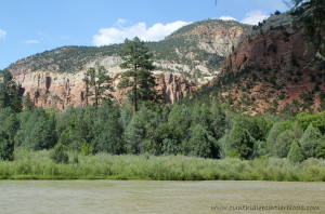 View of the Rio Chama River in New Mexico