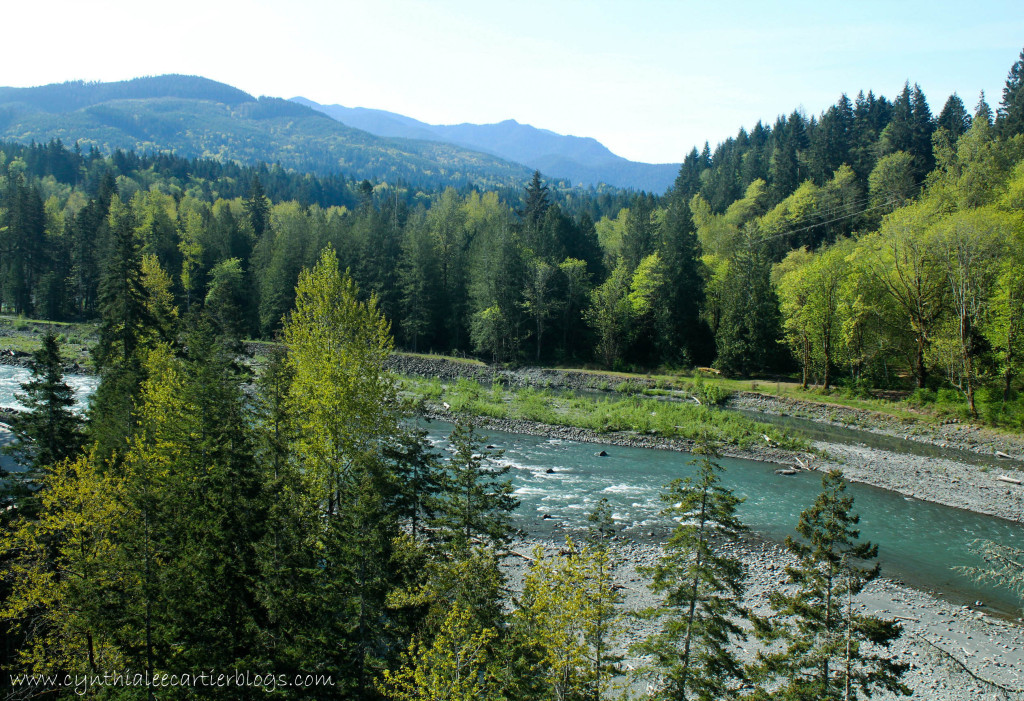 This is a picture of a view from a bridge of the Elwha River, Clallam County, WA